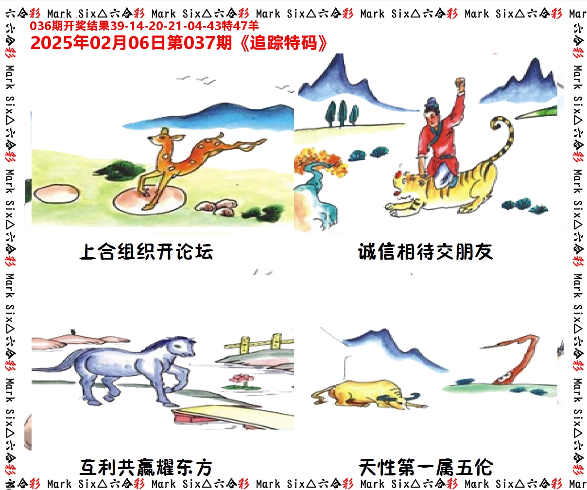 追踪特码 第37期