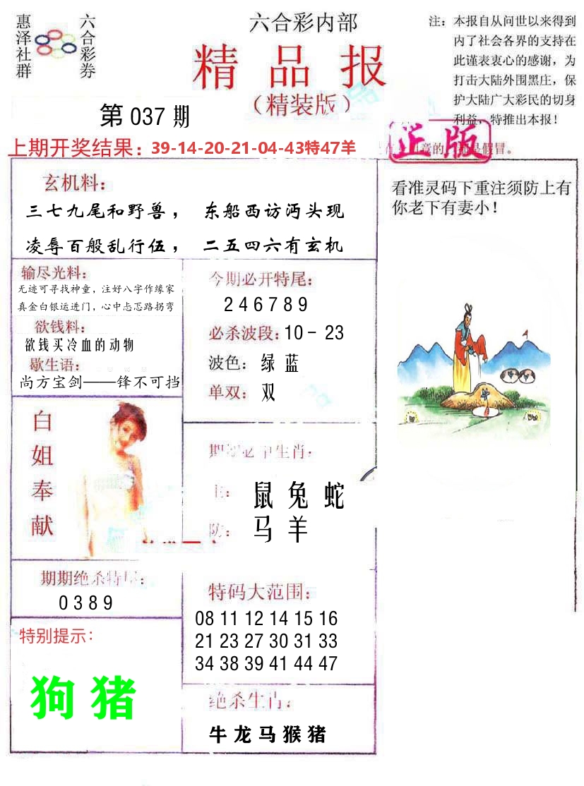 精品报 第37期