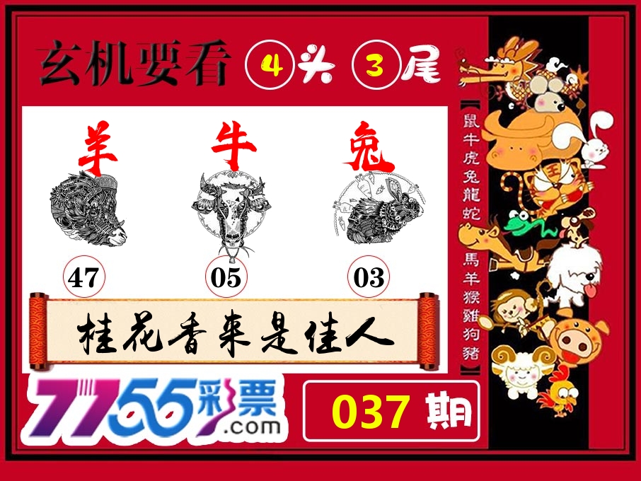 玄机要看 第37期