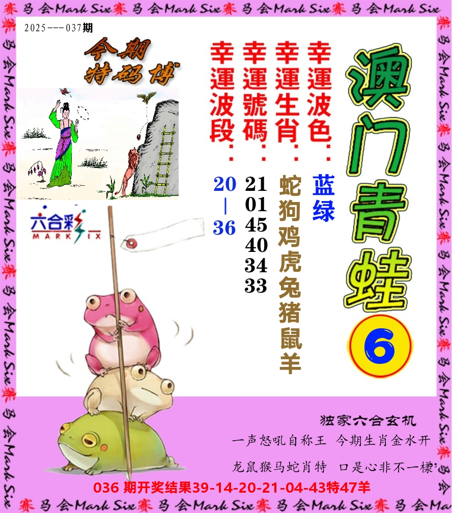 青蛙系列6 第37期