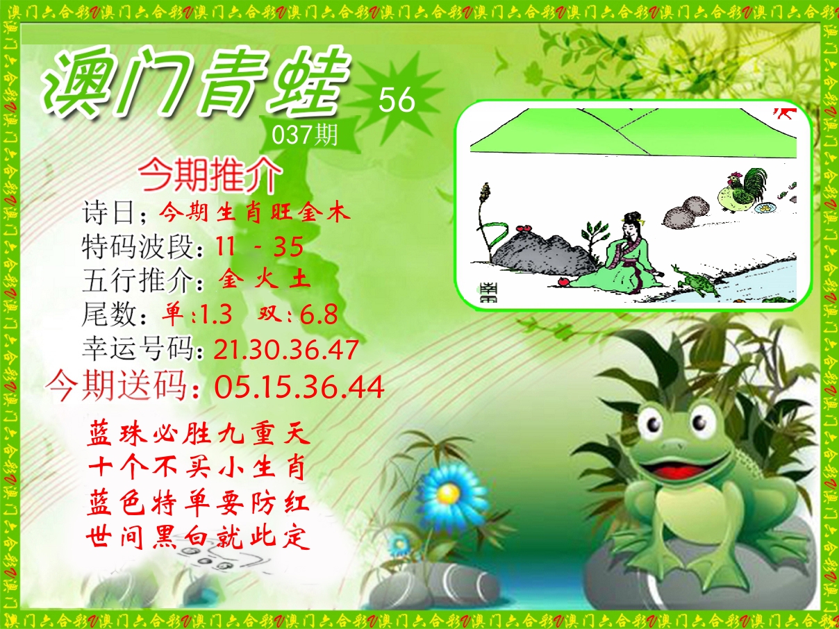 青蛙系列56 第37期