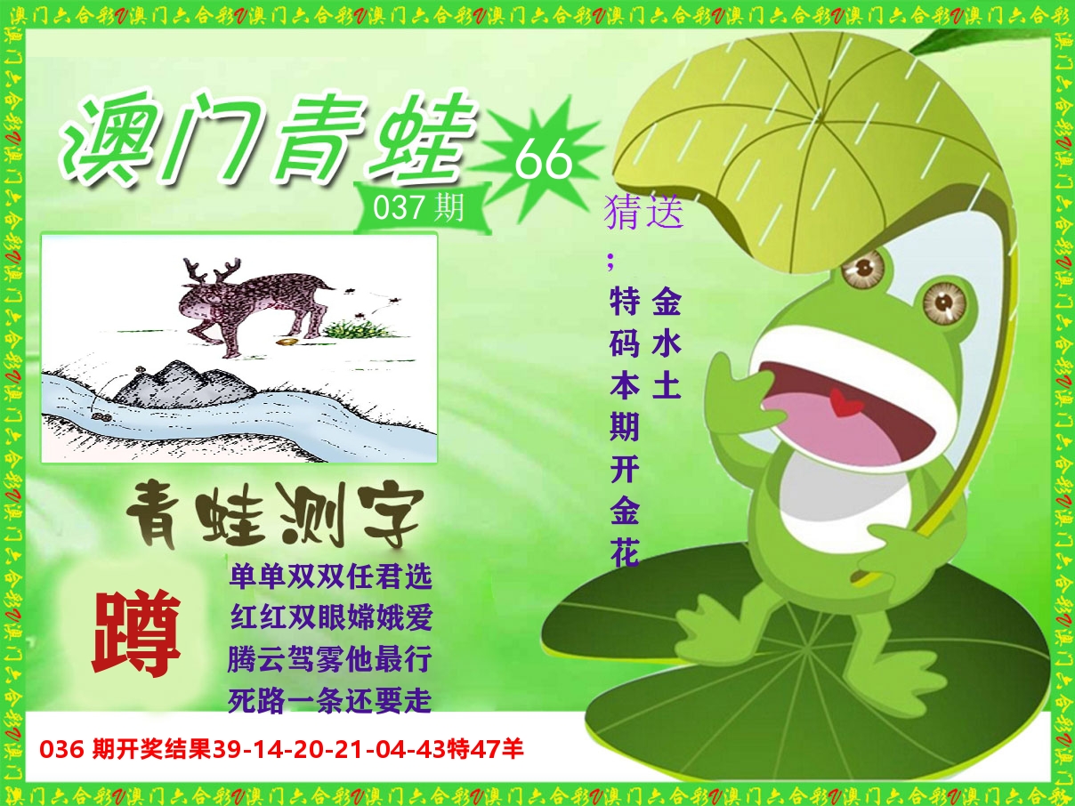 青蛙系列66 第37期