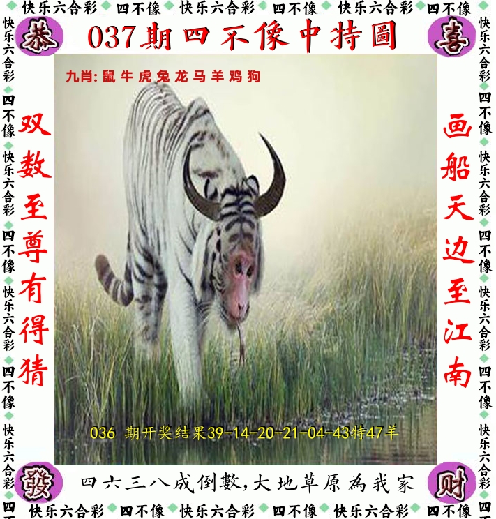 四不像 第37期