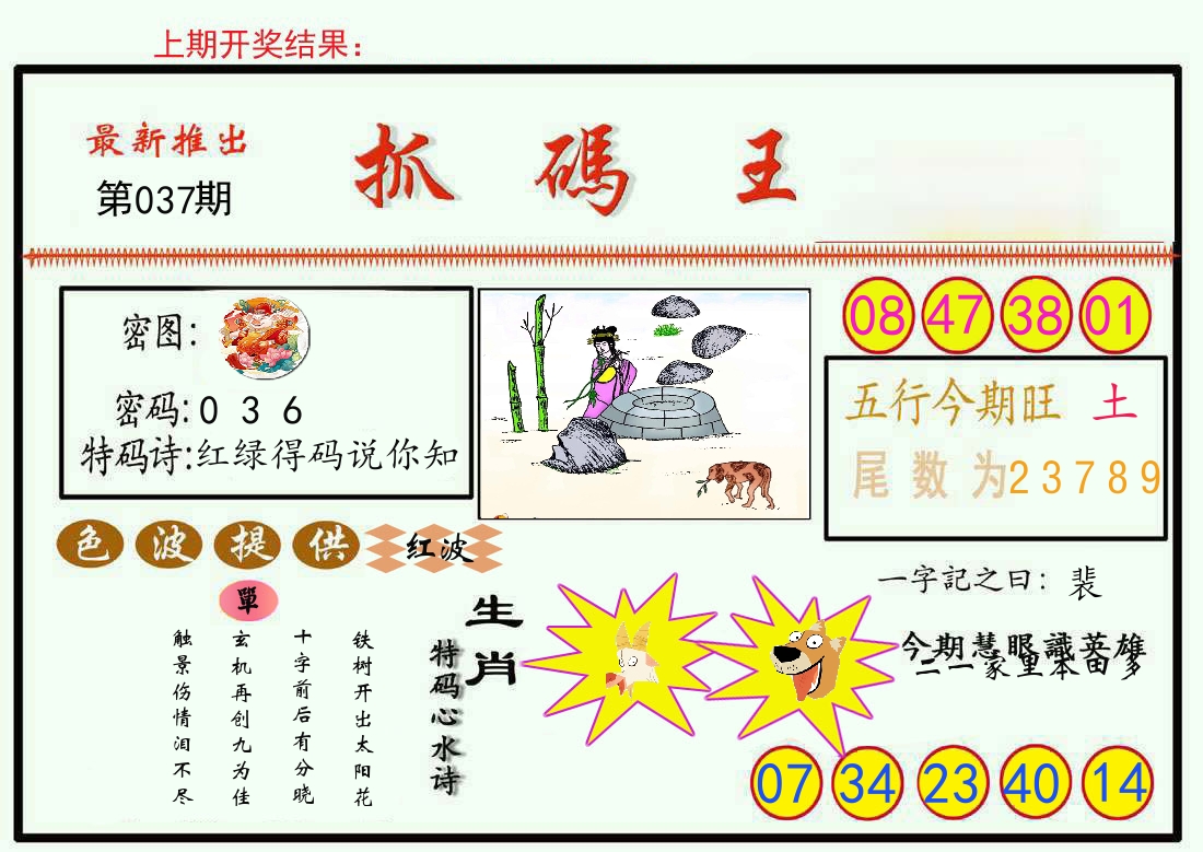 最新抓码王 第37期
