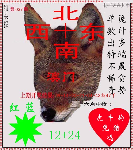 狗头报 第37期