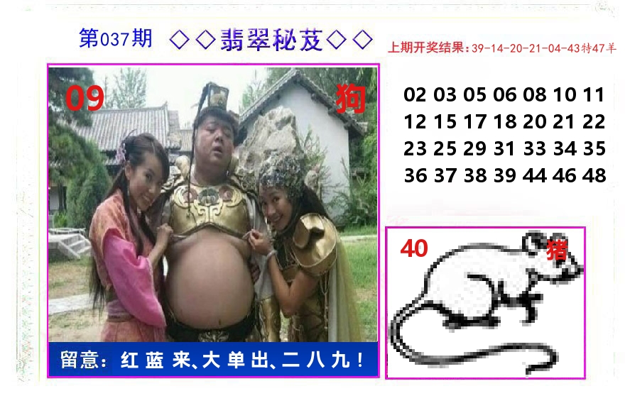 翡翠秘芨 第37期