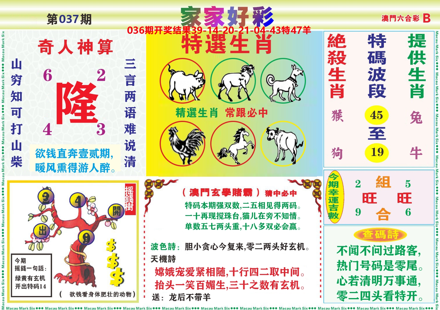 家家好彩B 第37期