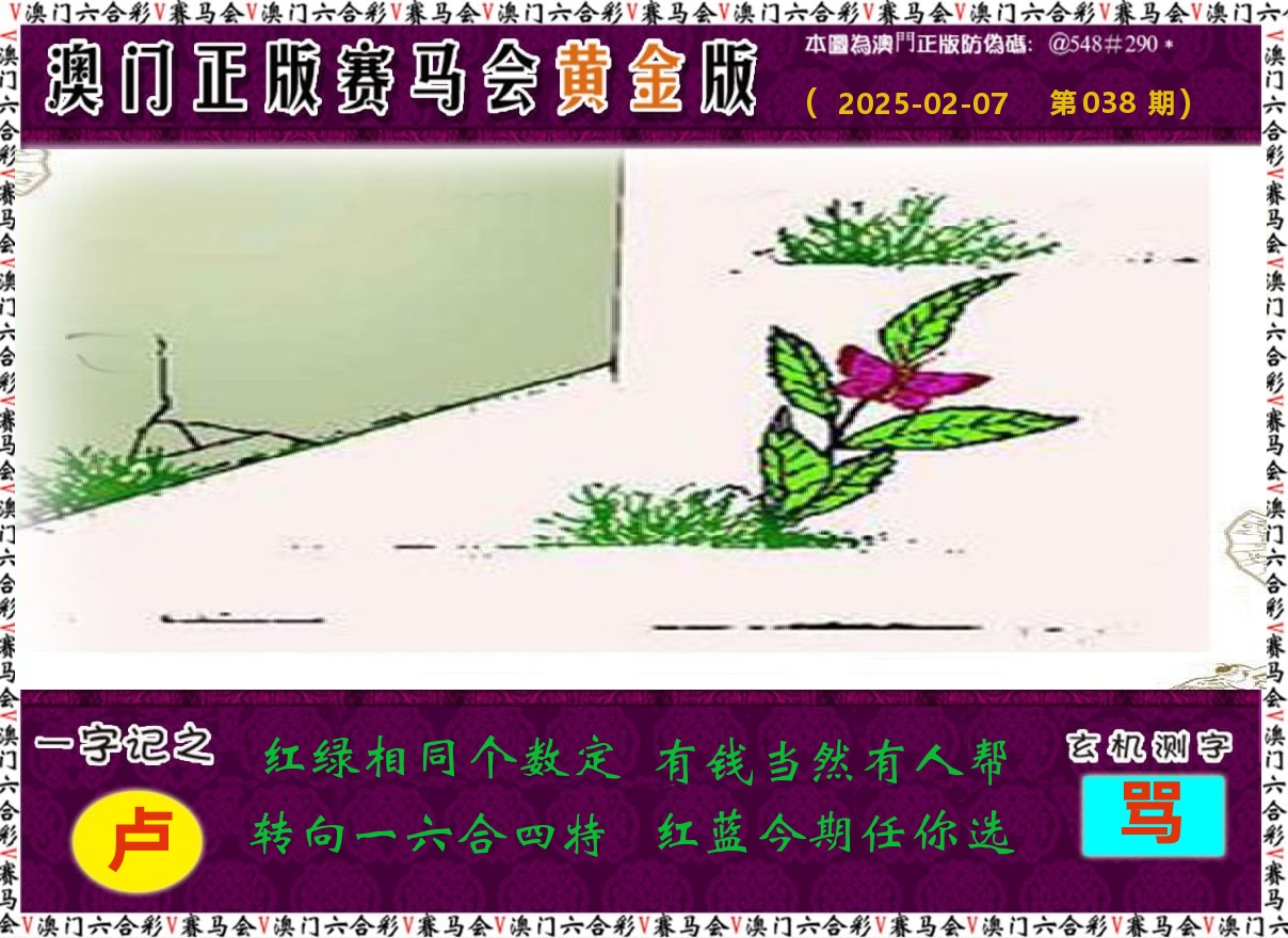 赛马会黄金版 第38期