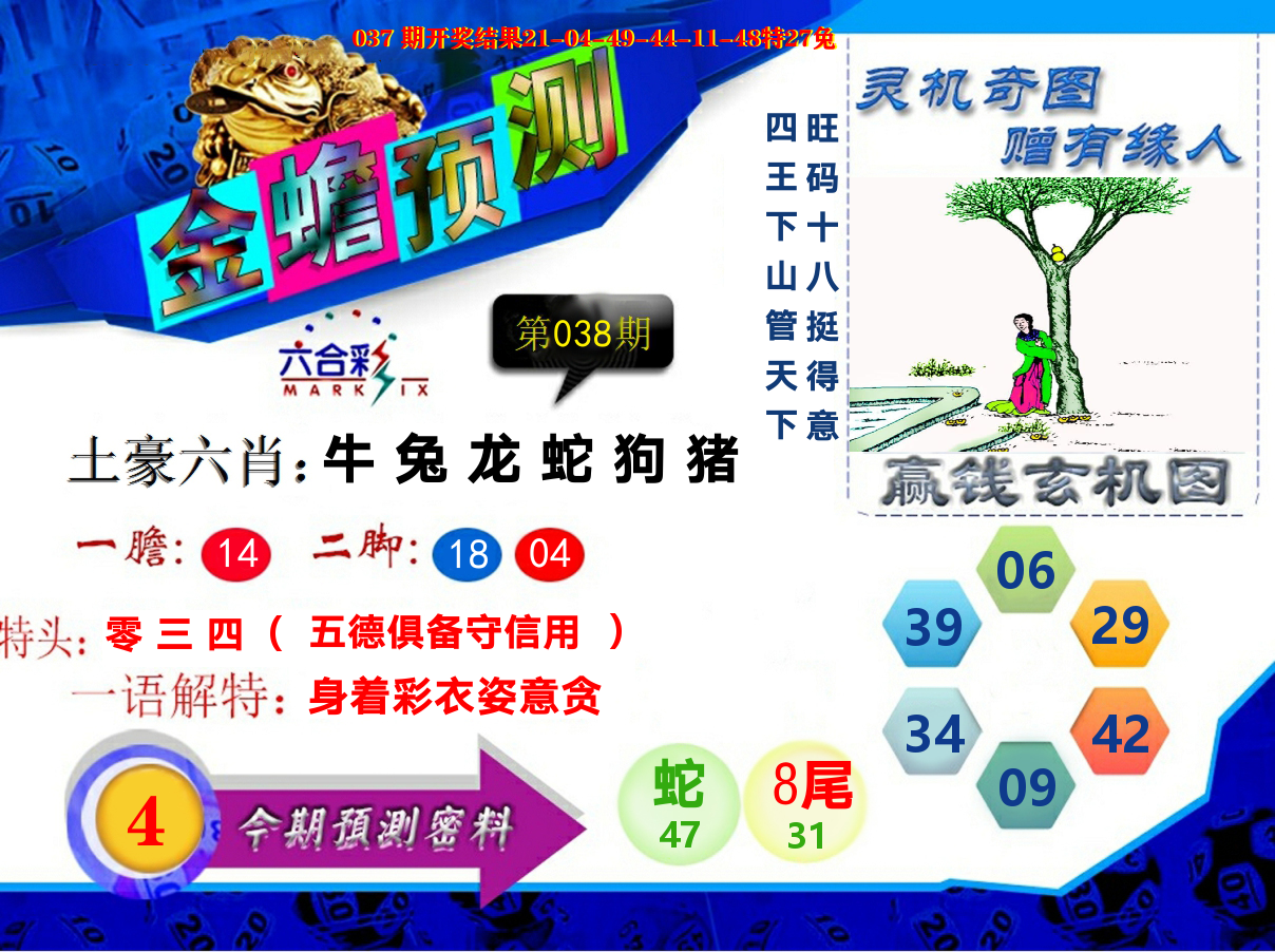 金蟾预测 第38期