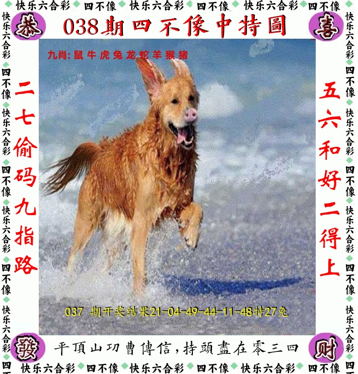 四不像 第38期