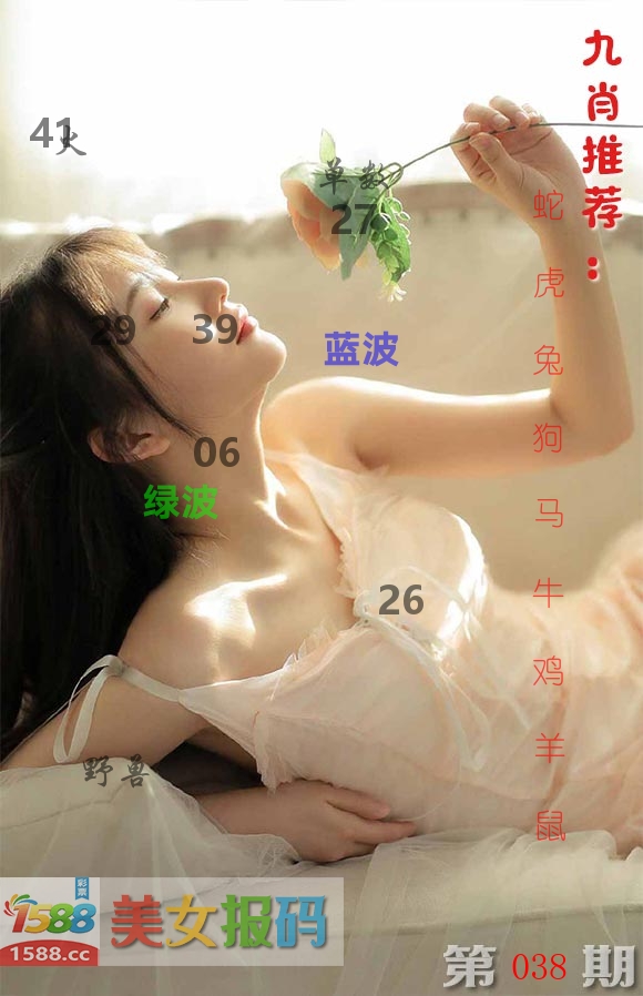 美女报码 第38期