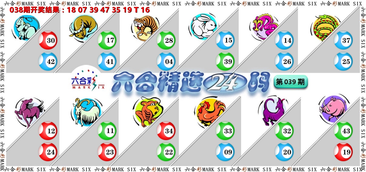 六合精选24码 第39期