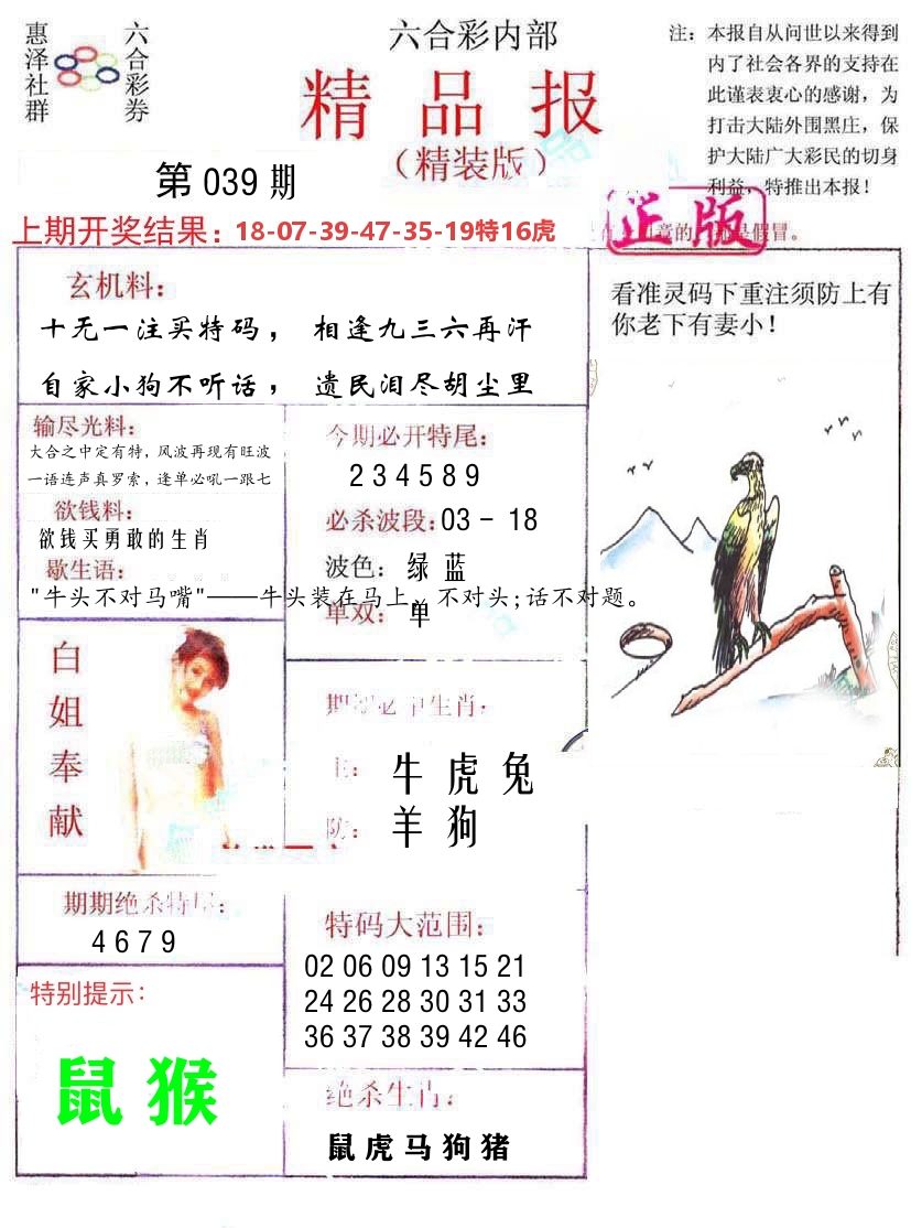 精品报 第39期