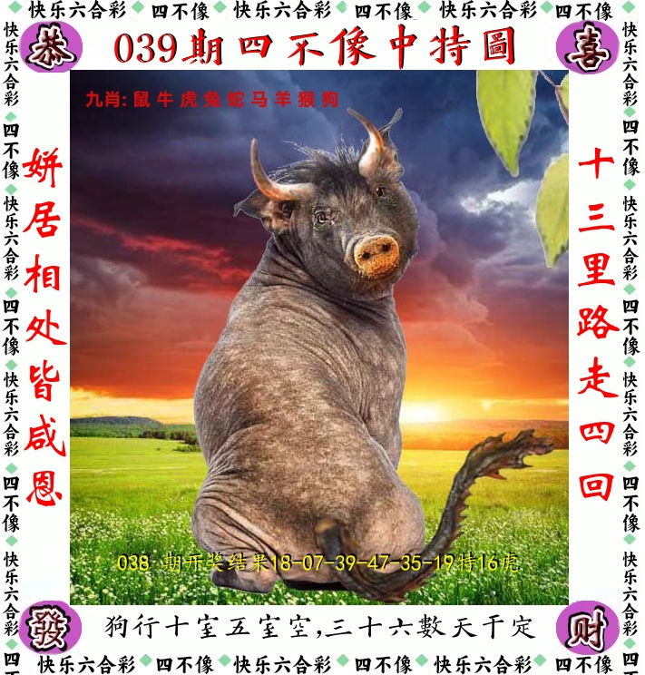 四不像 第39期