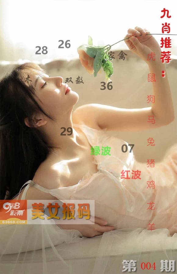 美女报码 第4期
