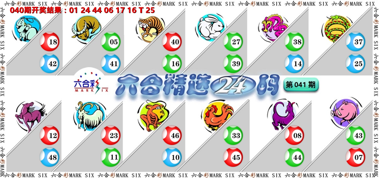 六合精选24码 第41期