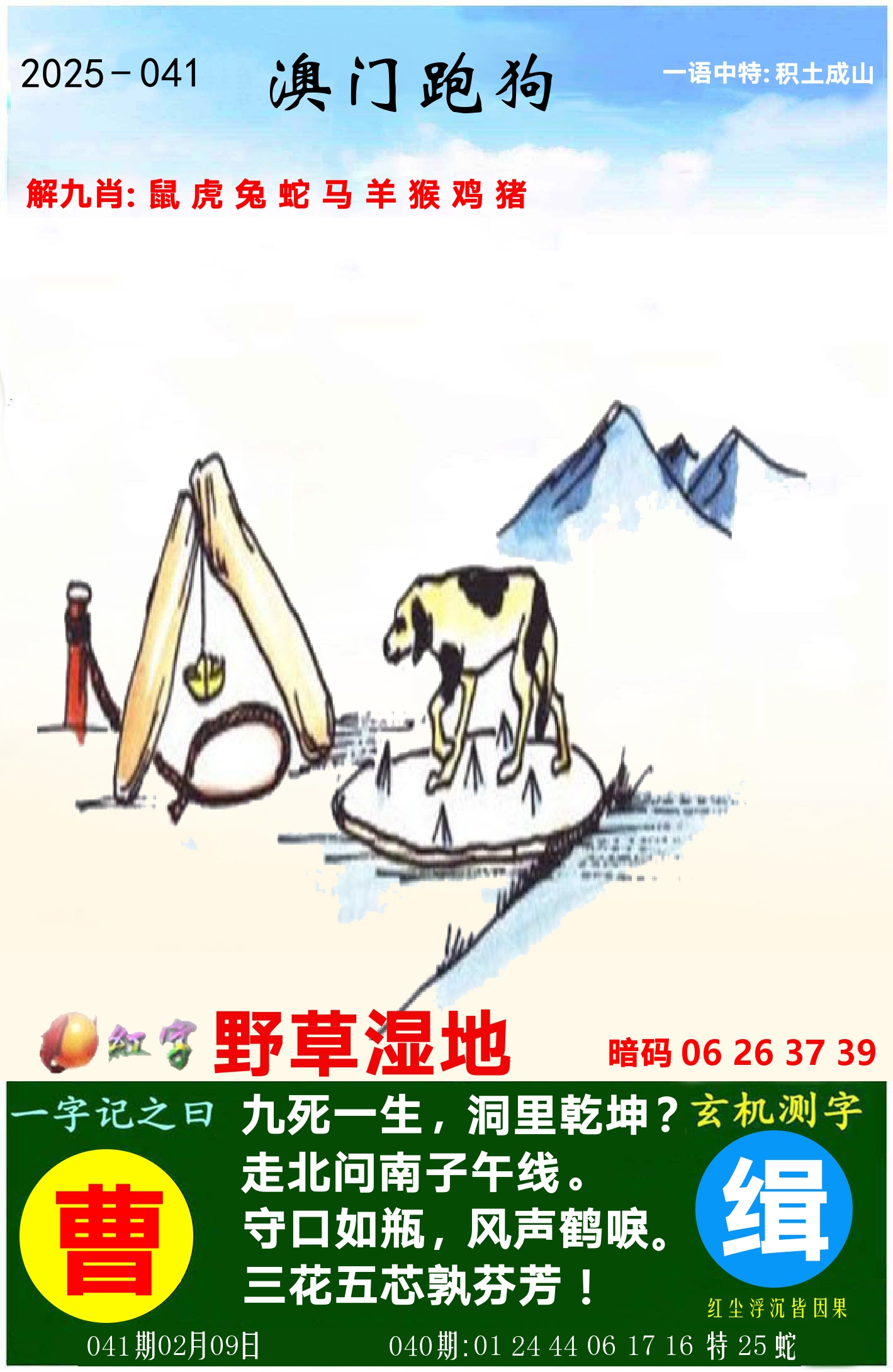 澳门跑狗图 第41期