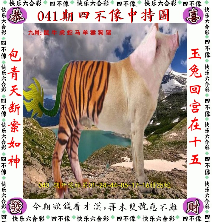 四不像 第41期
