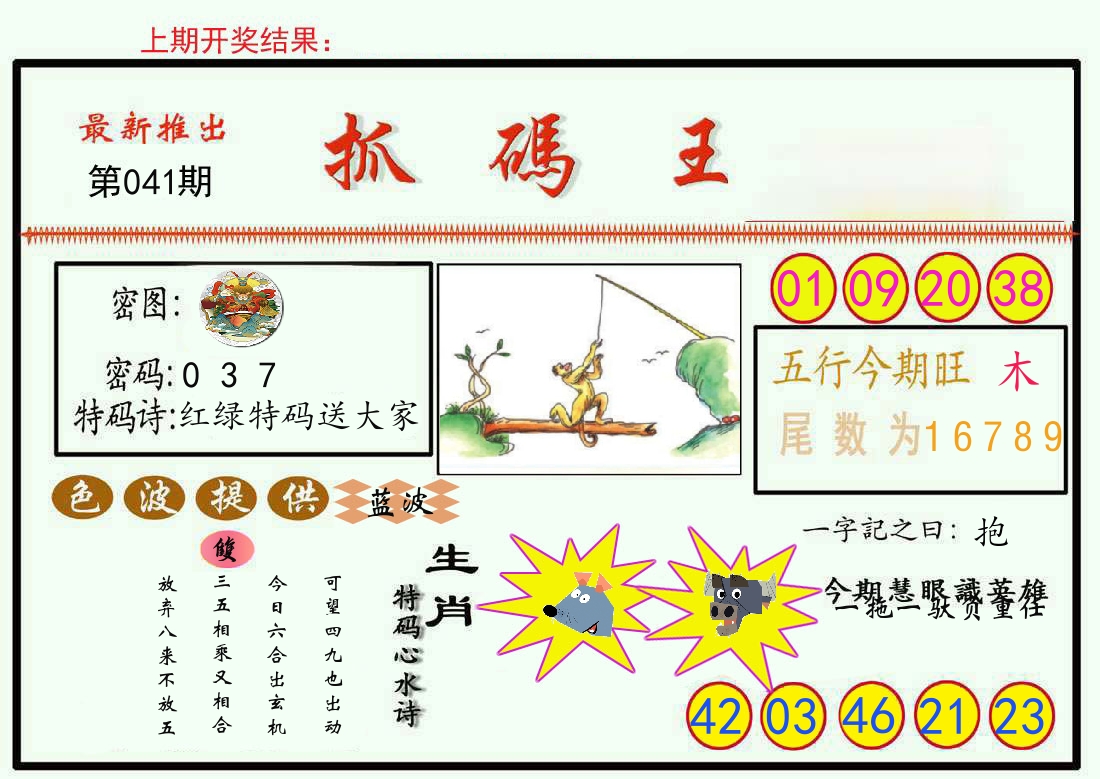 最新抓码王 第41期