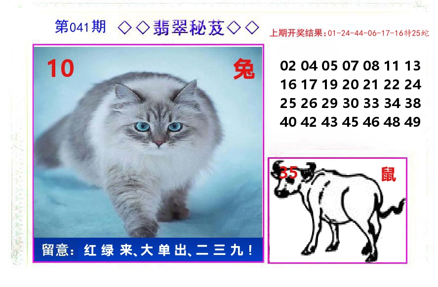 翡翠秘芨 第41期