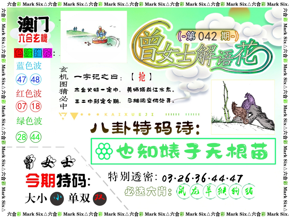 曾女士解语花 第42期