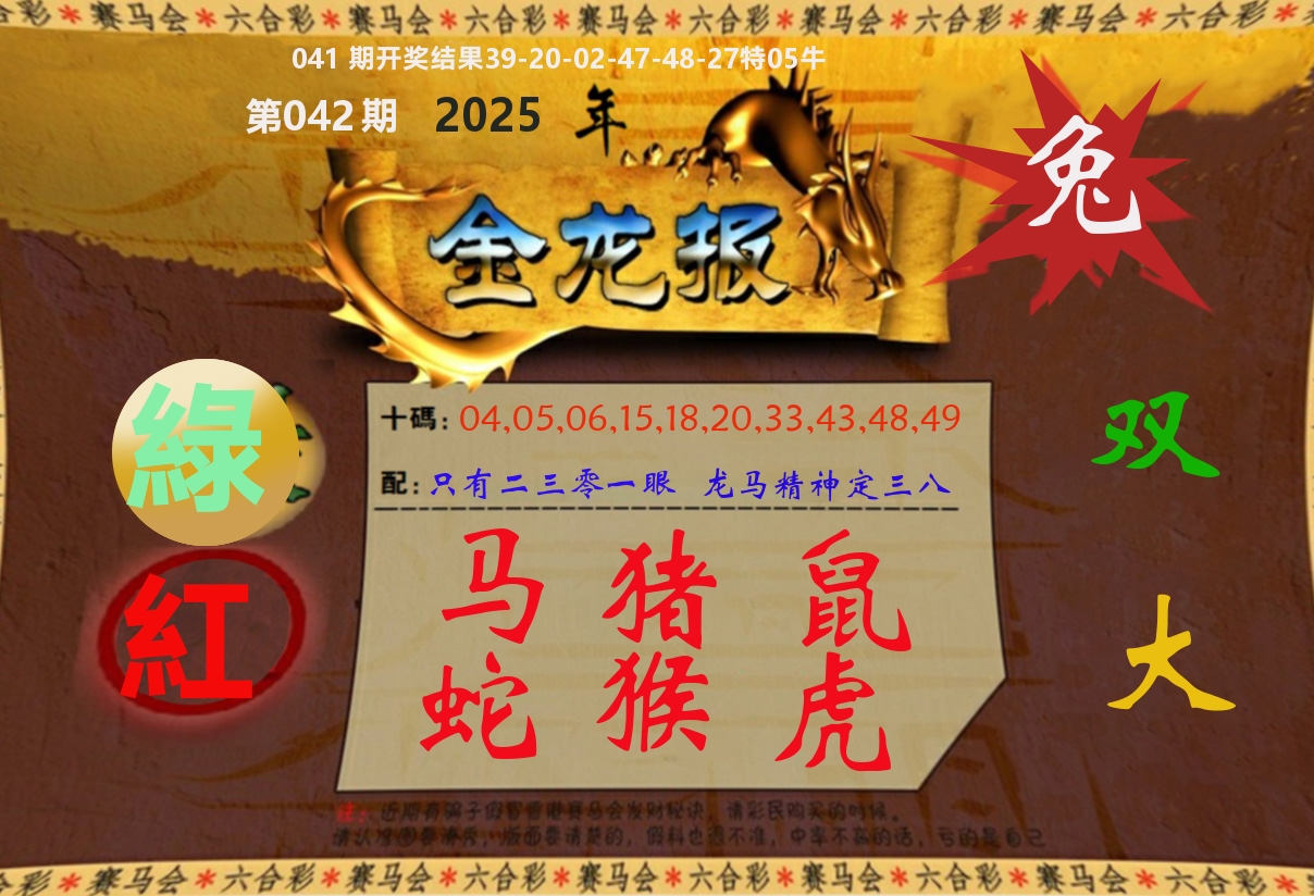 金龙报 第42期