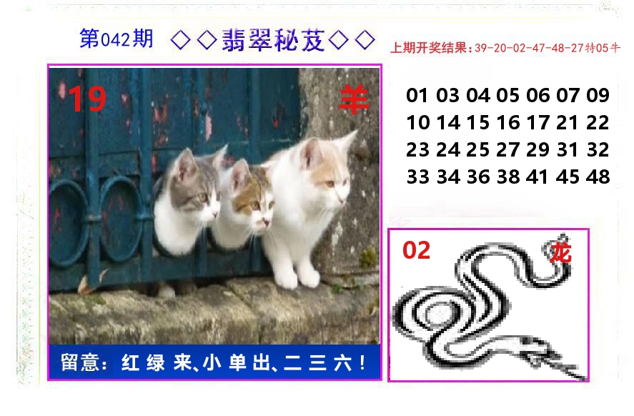 翡翠秘芨 第42期