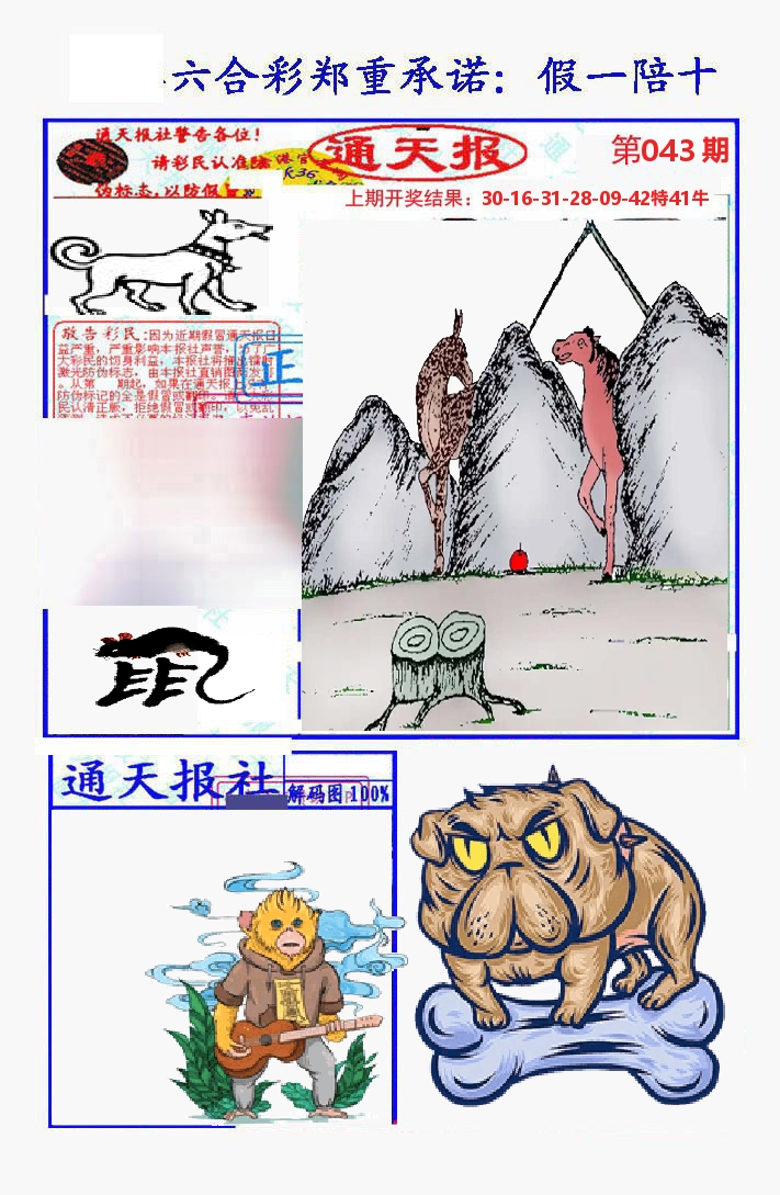 通天报 第43期