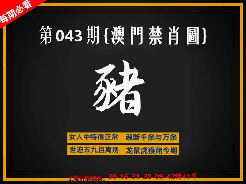 茶湾港料《彩》 第43期