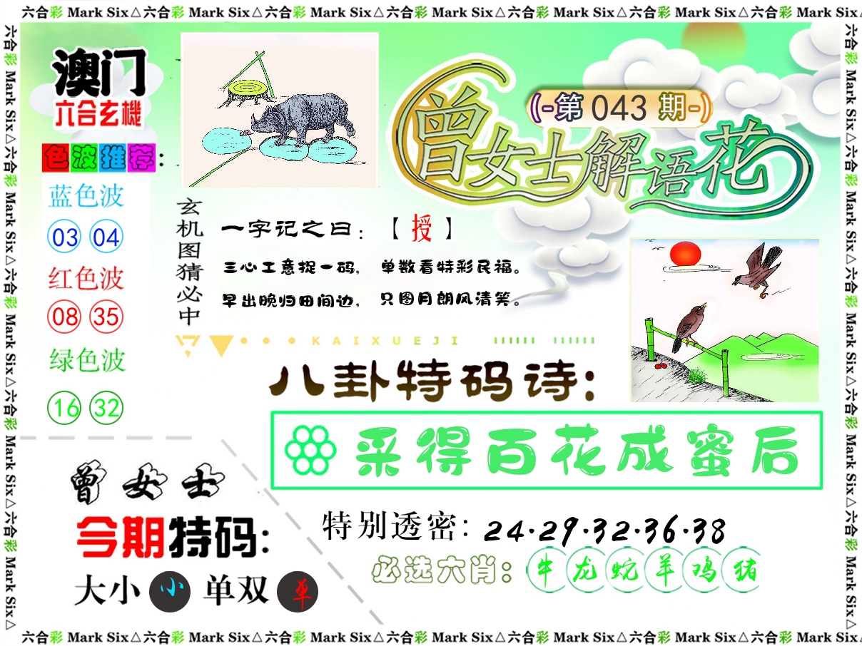 曾女士解语花 第43期