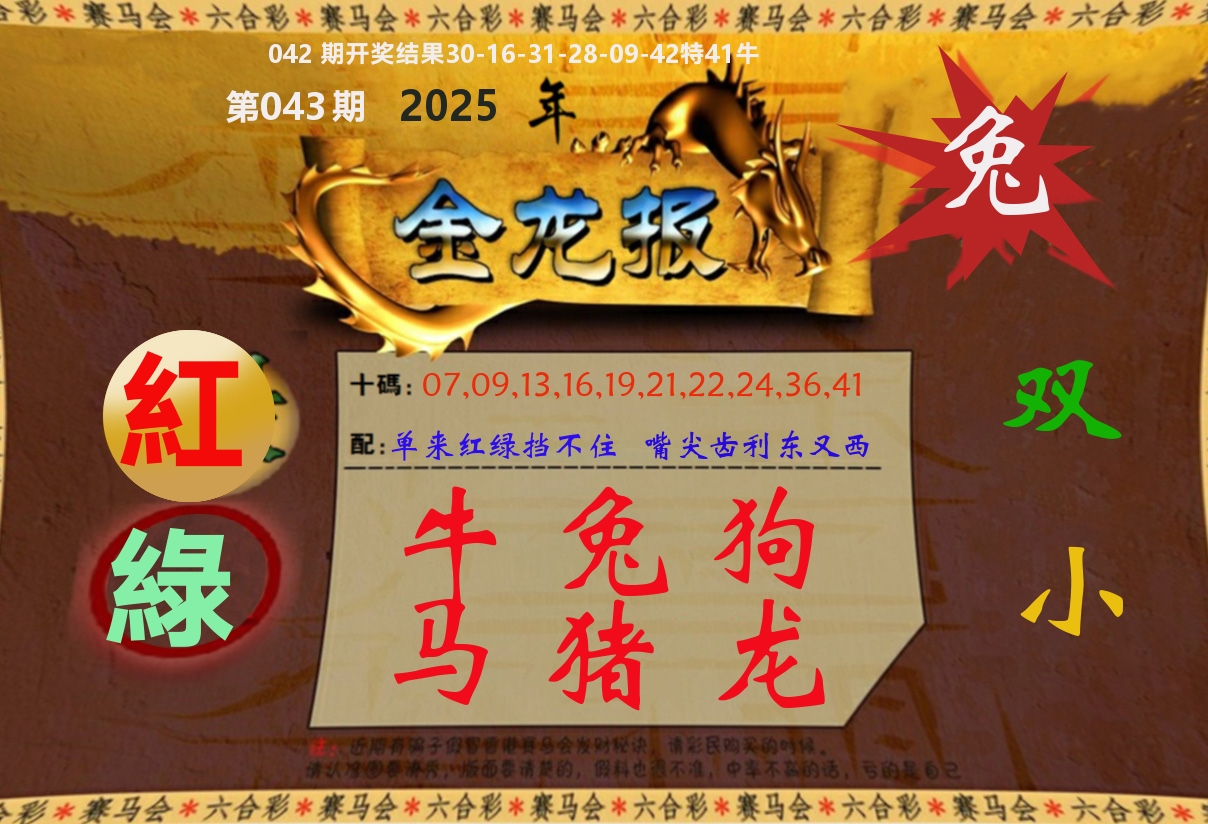 金龙报 第43期