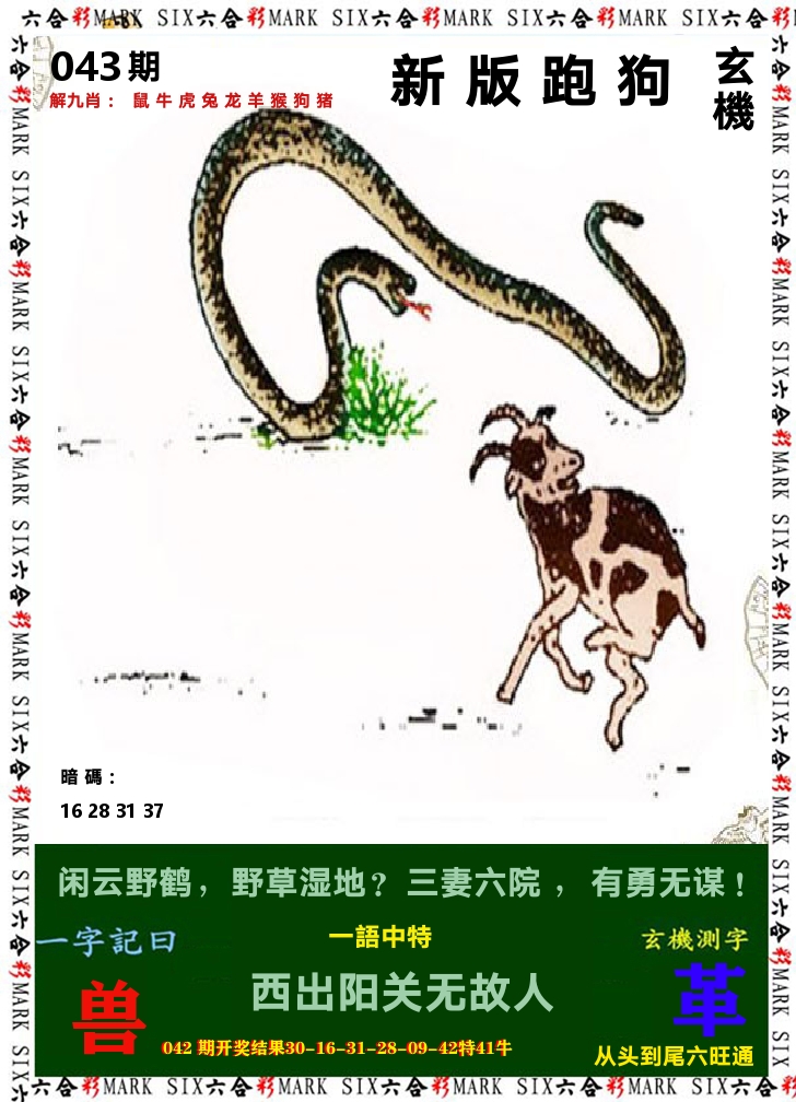 悟入其图 第43期