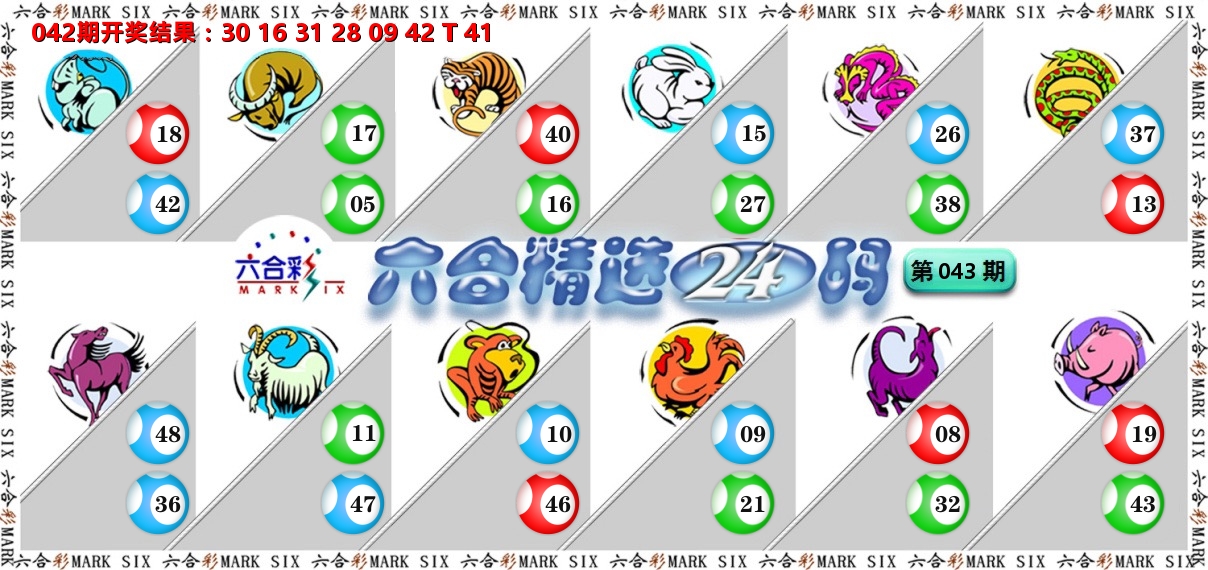六合精选24码 第43期