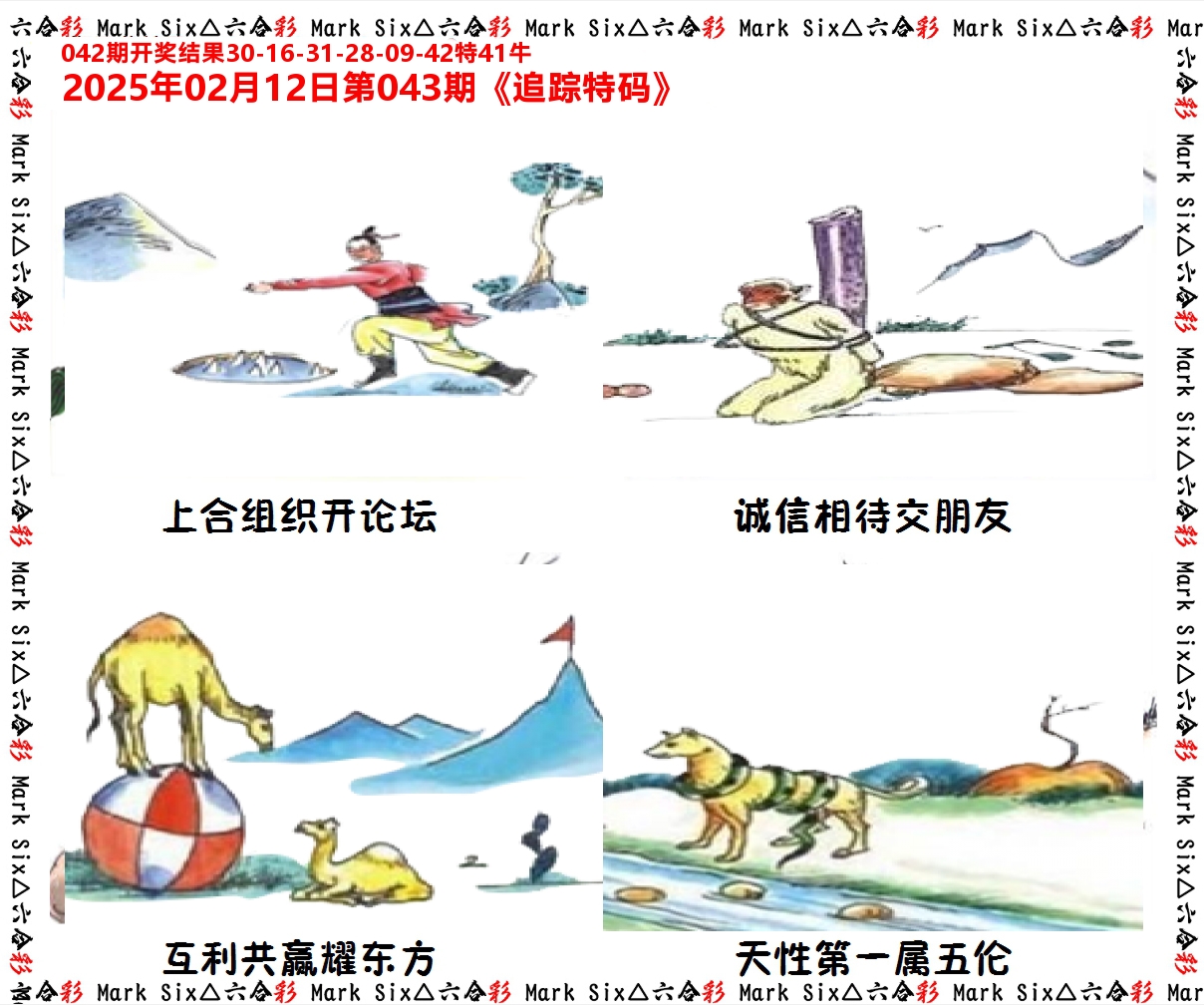 追踪特码 第43期