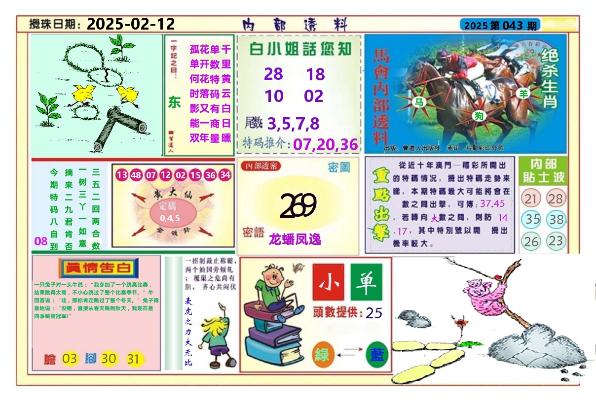 澳门内部透料A 第43期