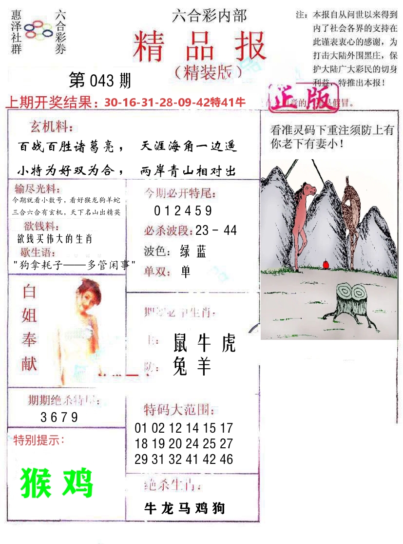 精品报 第43期