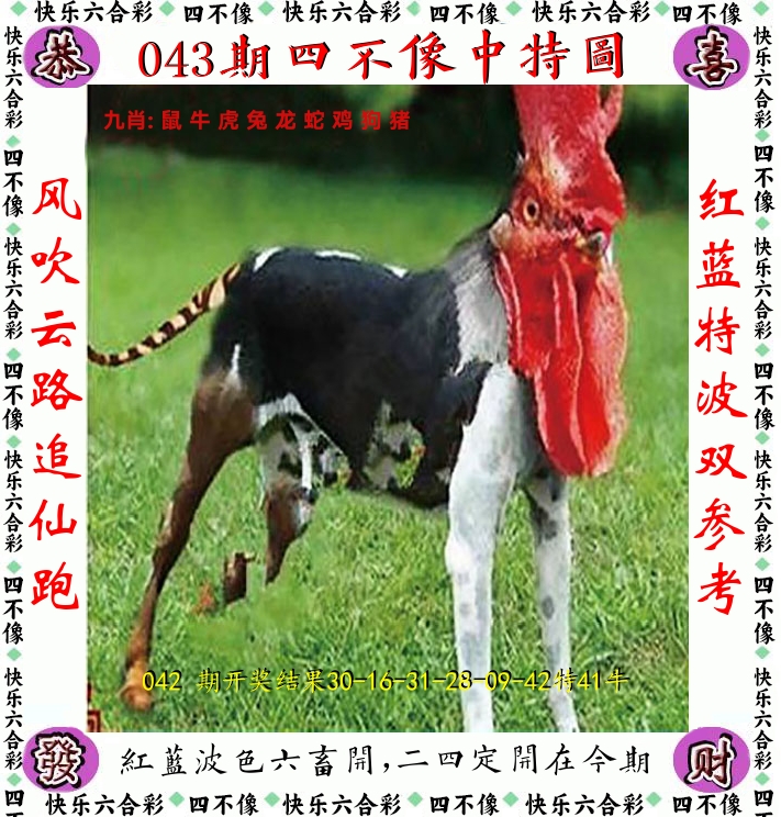 四不像 第43期