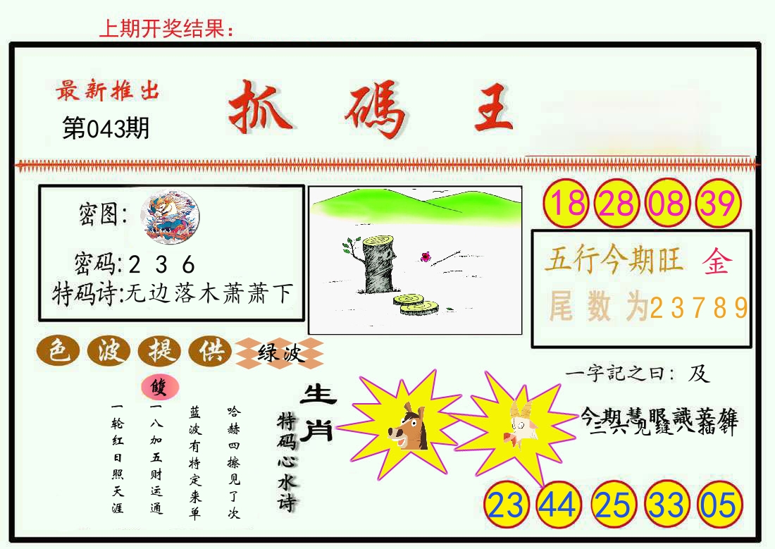 最新抓码王 第43期