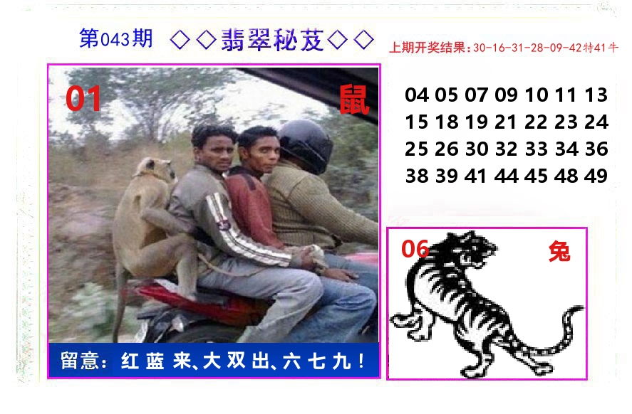 翡翠秘芨 第43期