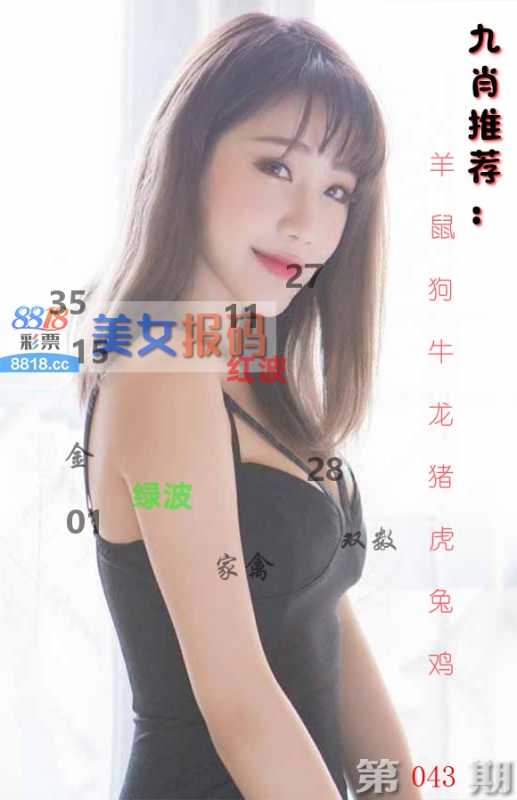美女报码 第43期