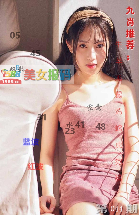 美女报码 第44期