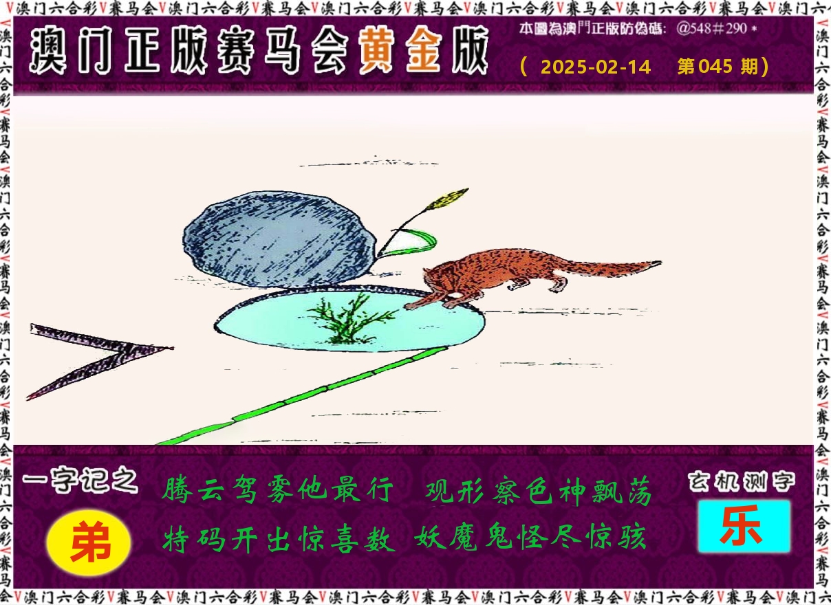 赛马会黄金版 第45期