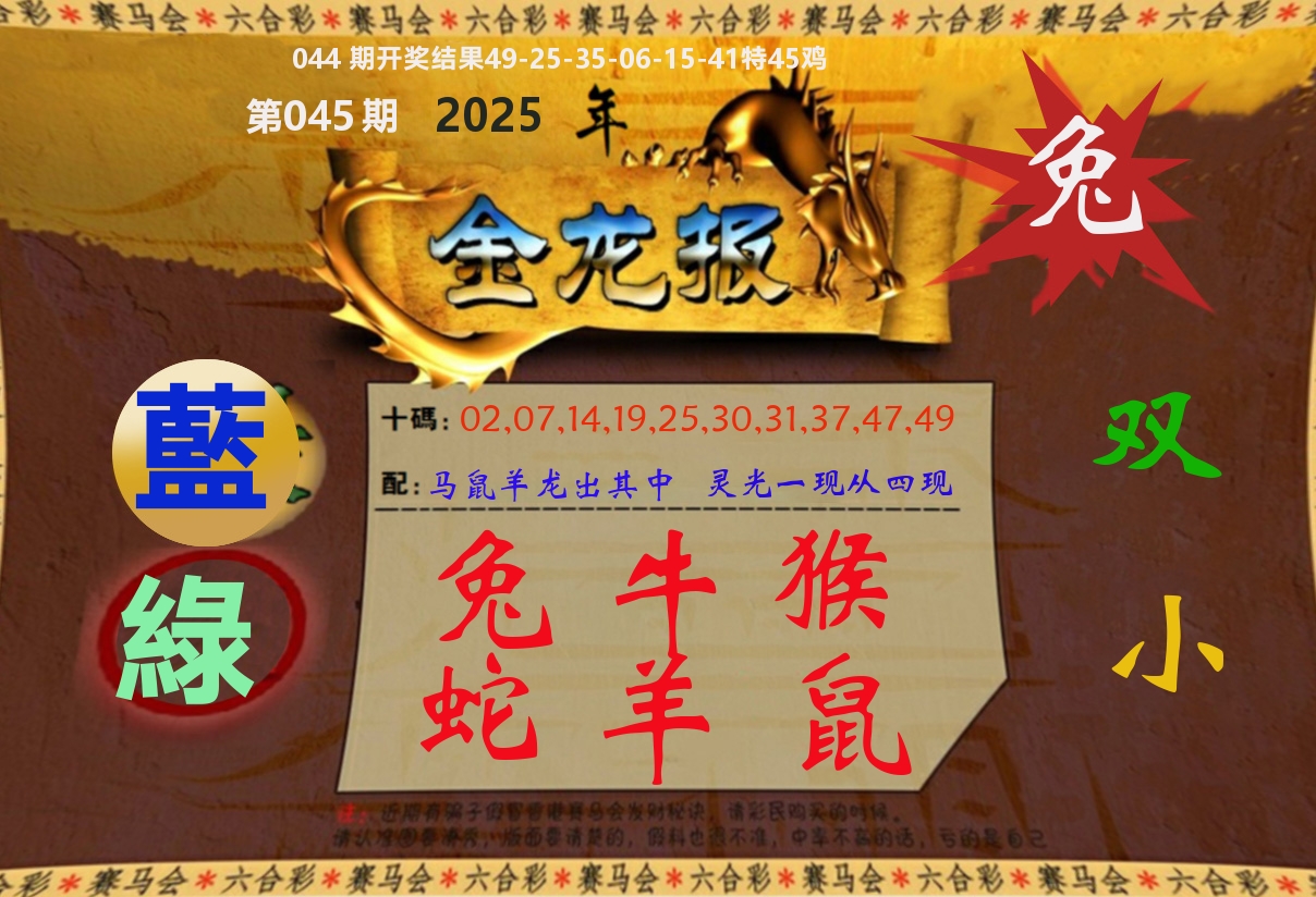 金龙报 第45期