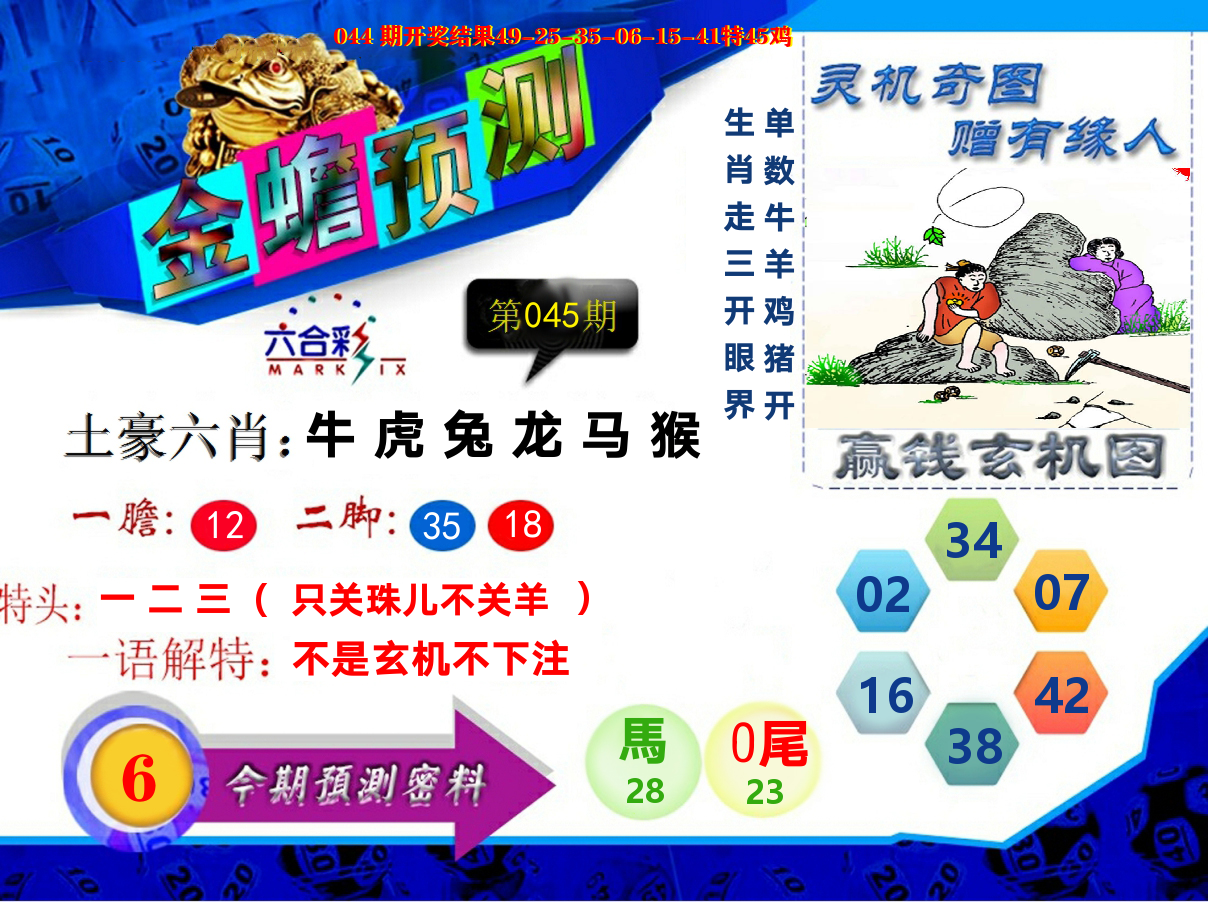 金蟾预测 第45期