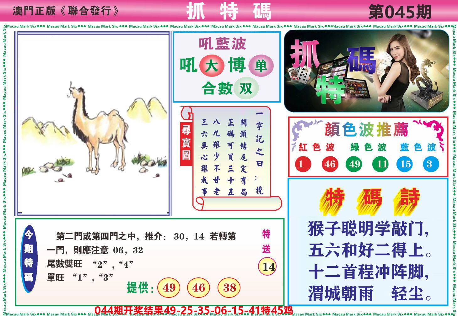 澳门抓特码A 第45期