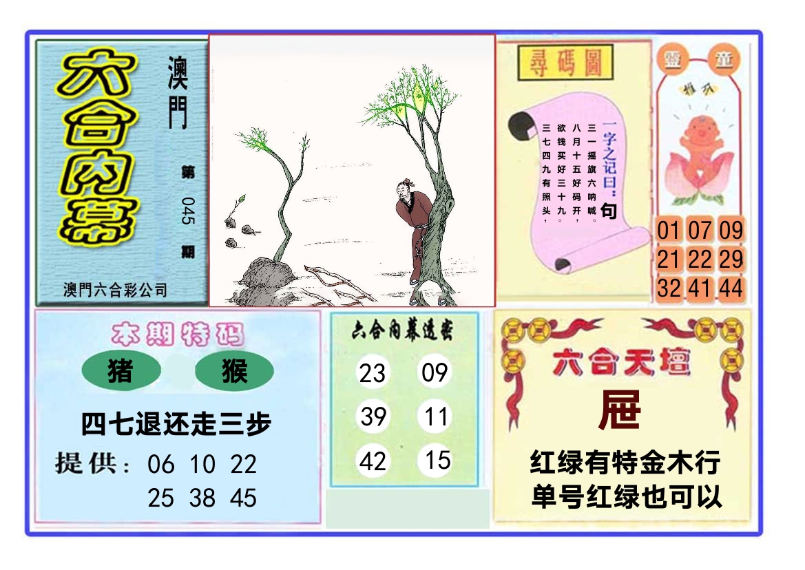 六合内幕 第45期
