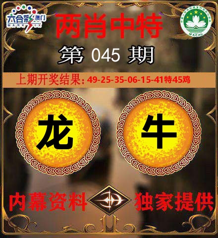 两肖中特 第45期