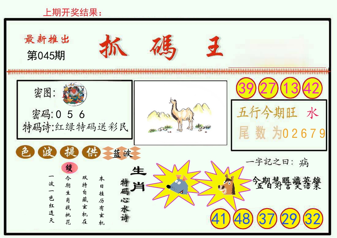 最新抓码王 第45期