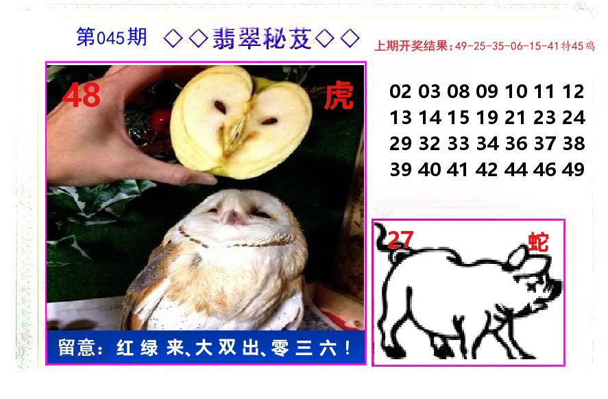翡翠秘芨 第45期