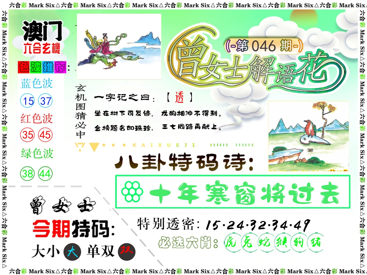 曾女士解语花 第46期
